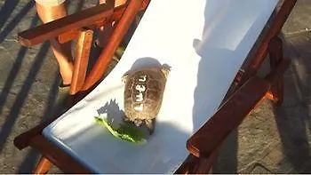 George & Irene Hotell